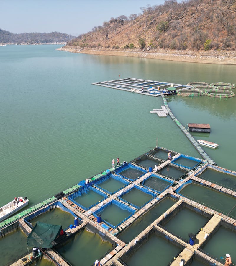 Fish farming cages and nets on water — Fishplace and Farm Nigeria aquaculture operations
